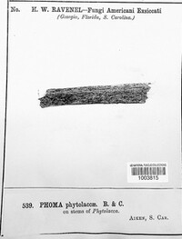 Image Associated With the Occurence